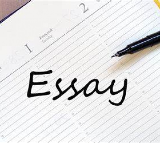 My tips for writing a high standard essay